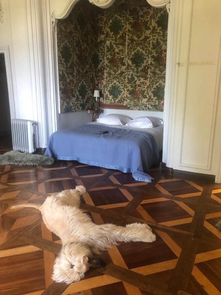 Chateau Montalembert *
